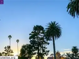 Sites similar to inglewoodparkcemetery.org