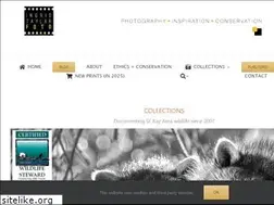 Sites similar to ingridtaylar.com
