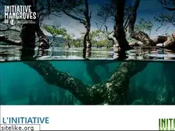Sites similar to initiative-mangroves-ffem.com