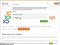 Sites similar to injaf.org