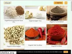 Sites similar to inkatekgida.com