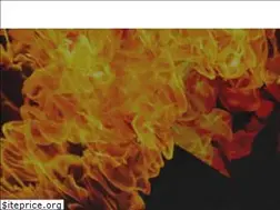 Sites similar to inlandfire.com