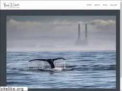 Sites similar to inmylens.com