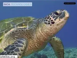 Sites similar to inoatech.com
