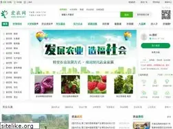 Sites similar to inong.net