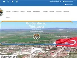 Sites similar to inonu.bel.tr