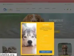 Sites similar to inooko.com