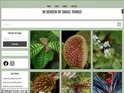 Sites similar to insearchofsmallthings.com