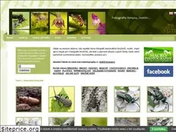 Sites similar to insect-foto.com