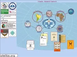 Sites similar to insecta-web.org
