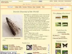 Sites similar to insecta.pro