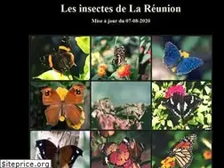 Sites similar to insectarium-reunion.fr