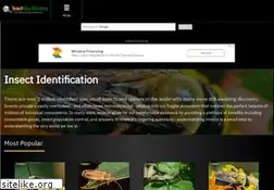 Sites similar to insectidentification.org