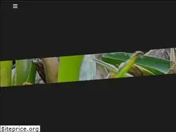 Sites similar to insectivore.co.uk