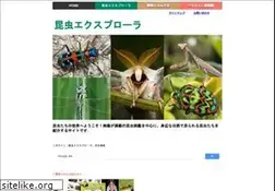 Sites similar to insects.jp