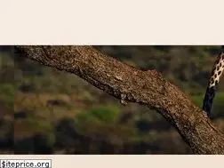 Sites similar to insightsafariholidays.com