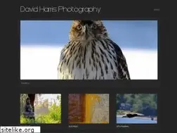 Sites similar to insituimage.com