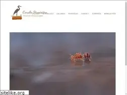 Sites similar to instantanes-nature.net