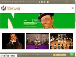Sites similar to institutobrincante.org.br