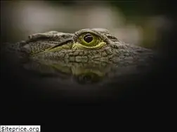 Sites similar to institutodefotografia.ec