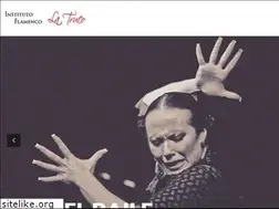 Sites similar to institutoflamencolatruco.com