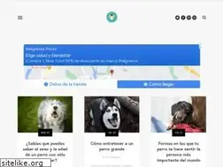 Sites similar to institutoperro.com