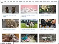 Sites similar to intarpage.com