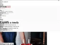 Sites similar to intercut.cz