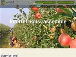 Sites similar to interfel.fr