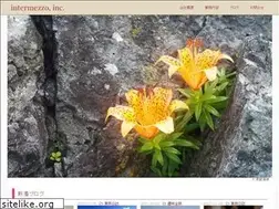 Sites similar to intermezzo.cc
