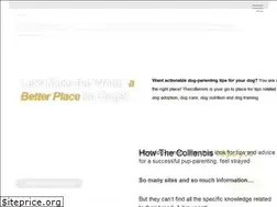 Sites similar to internationaldayofthedog.com