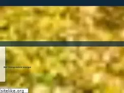 Sites similar to internatsolling.de