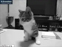 Sites similar to inthevale.net