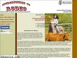 Sites similar to introductiontorodeo.com