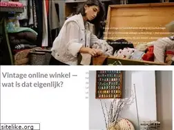 Sites similar to inu4vintage.nl