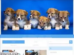 Sites similar to inuhospital.com