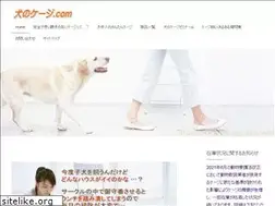 Sites similar to inuno-cage.com