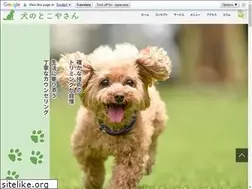 Sites similar to inuno-tokoyasan.jp