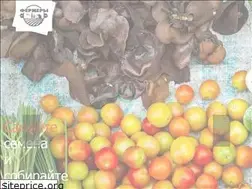 Sites similar to invest-farmers.site