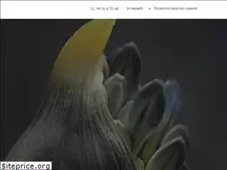 Sites similar to invest-immo-rennes.com