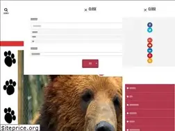 Sites similar to invest-kumakuma.com
