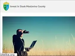 Sites similar to investinsmc.com