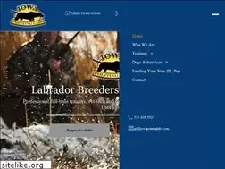 Sites similar to iowapointinglabs.com
