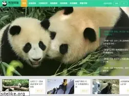 Sites similar to ipanda.com