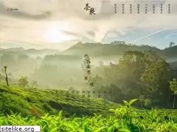 Sites similar to ipartea.com