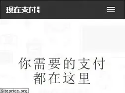 Sites similar to ipaynow.cn