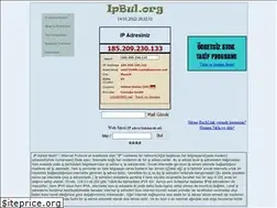 Sites similar to ipbul.org