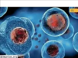 Sites similar to ipcheckups.com