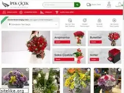 Sites similar to ipekcicek.com