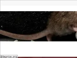 Sites similar to ipestpros.com